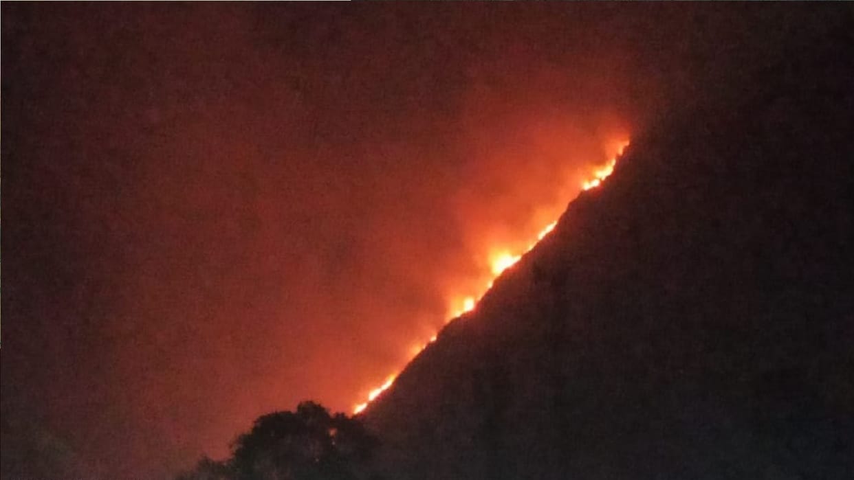 Fire broke out at 16 places in 12 hours so far 206 hectares of forest burnt this season