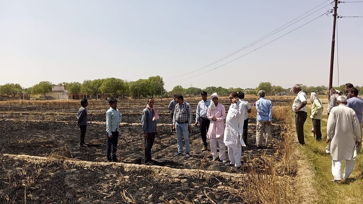 Hathras: 18 bighas of wheat crop ashes due to electric wire spark