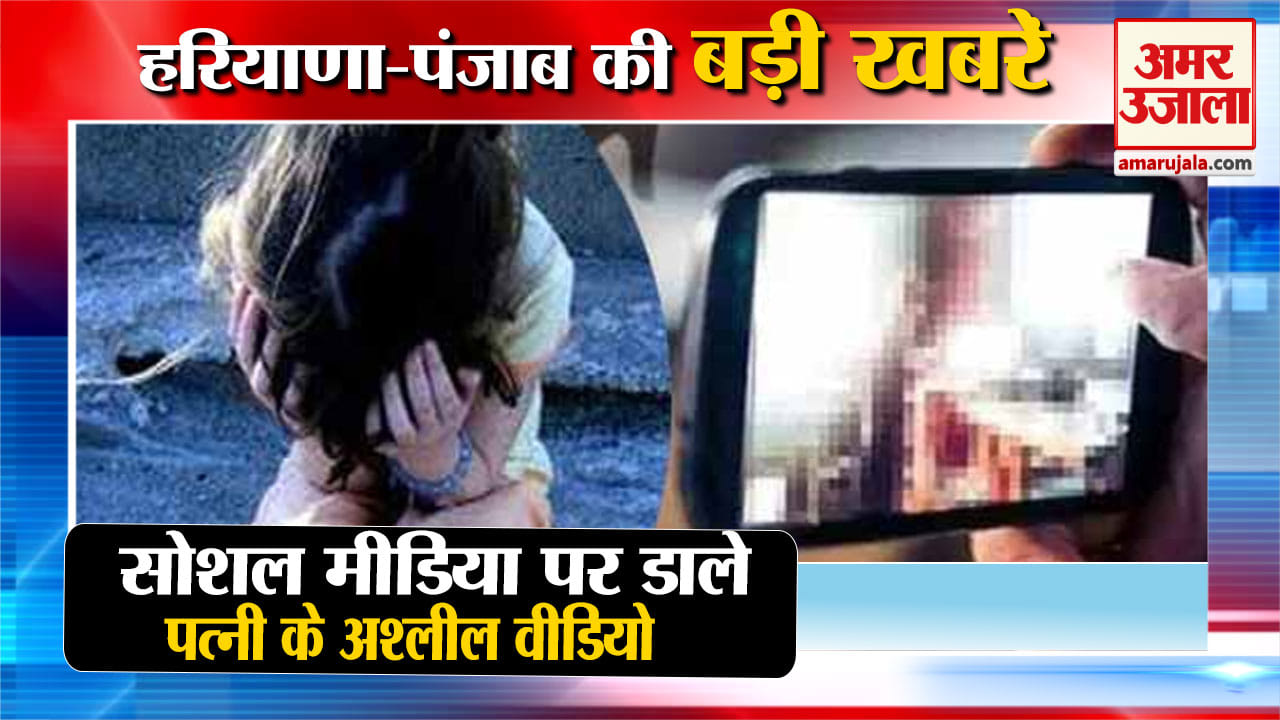 हरियाणा न्यूज