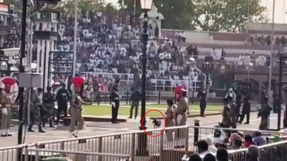 BSF enthusiasm increased by tourists at Attari border
