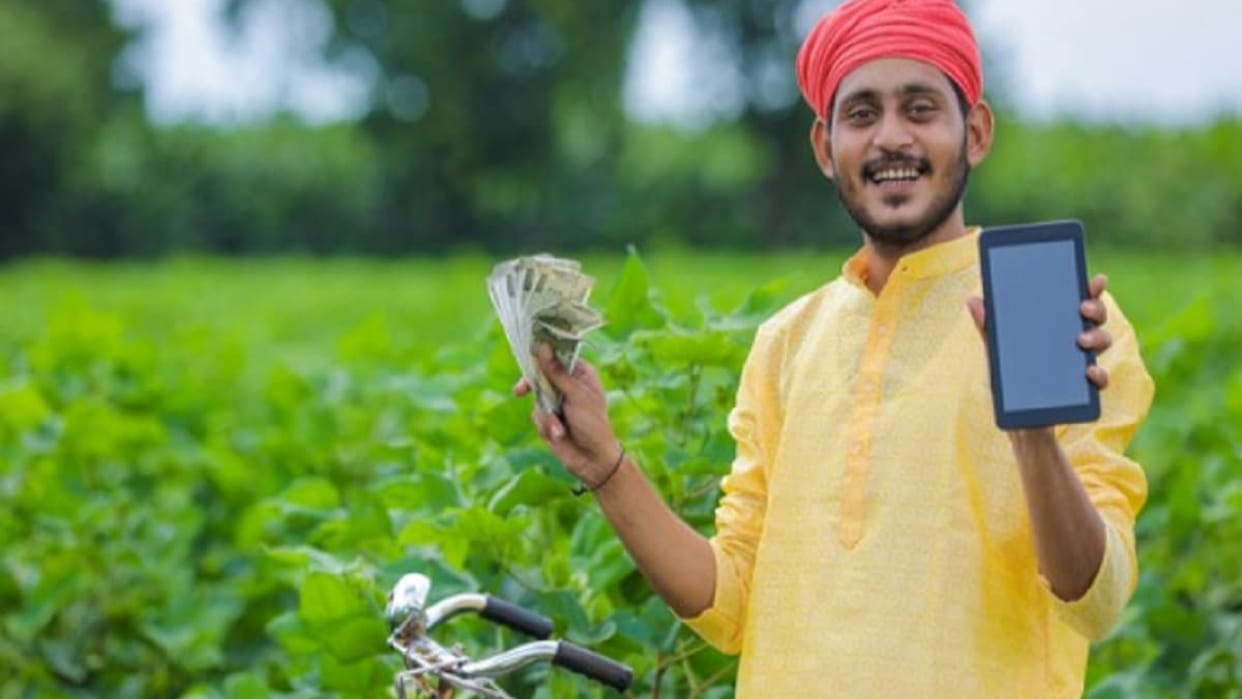 PM KIsan Scheme 11th instalment release by PM Modi check your account like this news in hindi