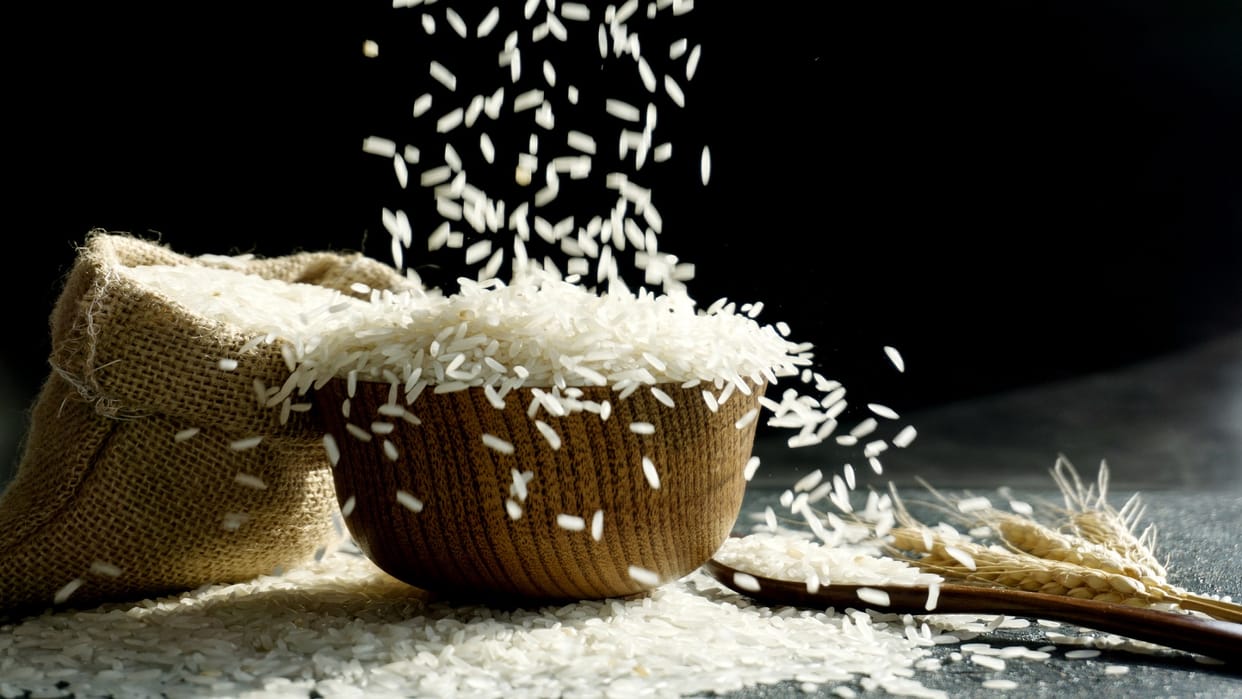 Mahayogi Gorakhnath University signs agreement with International Rice Research Institute