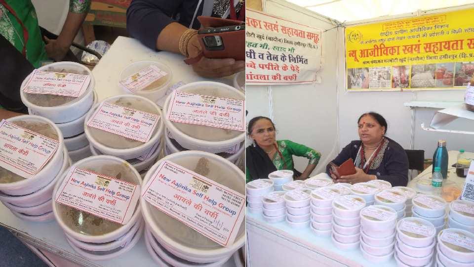 Aparajita: Women earning lakhs from papaya and pumpkin sweets including pickles, chutneys