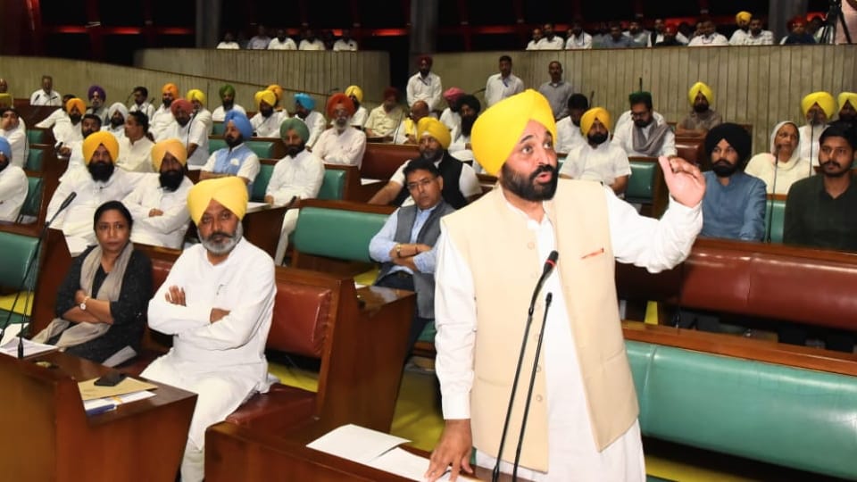 CM Bhagwant Mann claims that 'Chitta' is made in Punjab