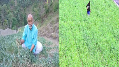 नकदी फसलों पर मौसम की मार।