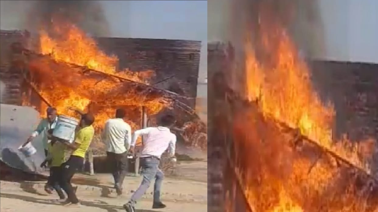 Fire broke out in thatch of cattle shelter seven animals burnt to death
