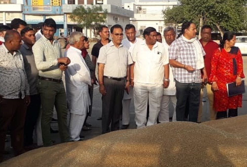 In Sonipat, 200 quintals of wheat was sold at a higher price than the MSP, in Ganaur, Hafed bought