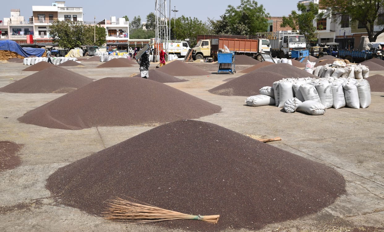 15 lakh bags of gunny bags and 11 mandis ready for wheat procurement, farmers refuse