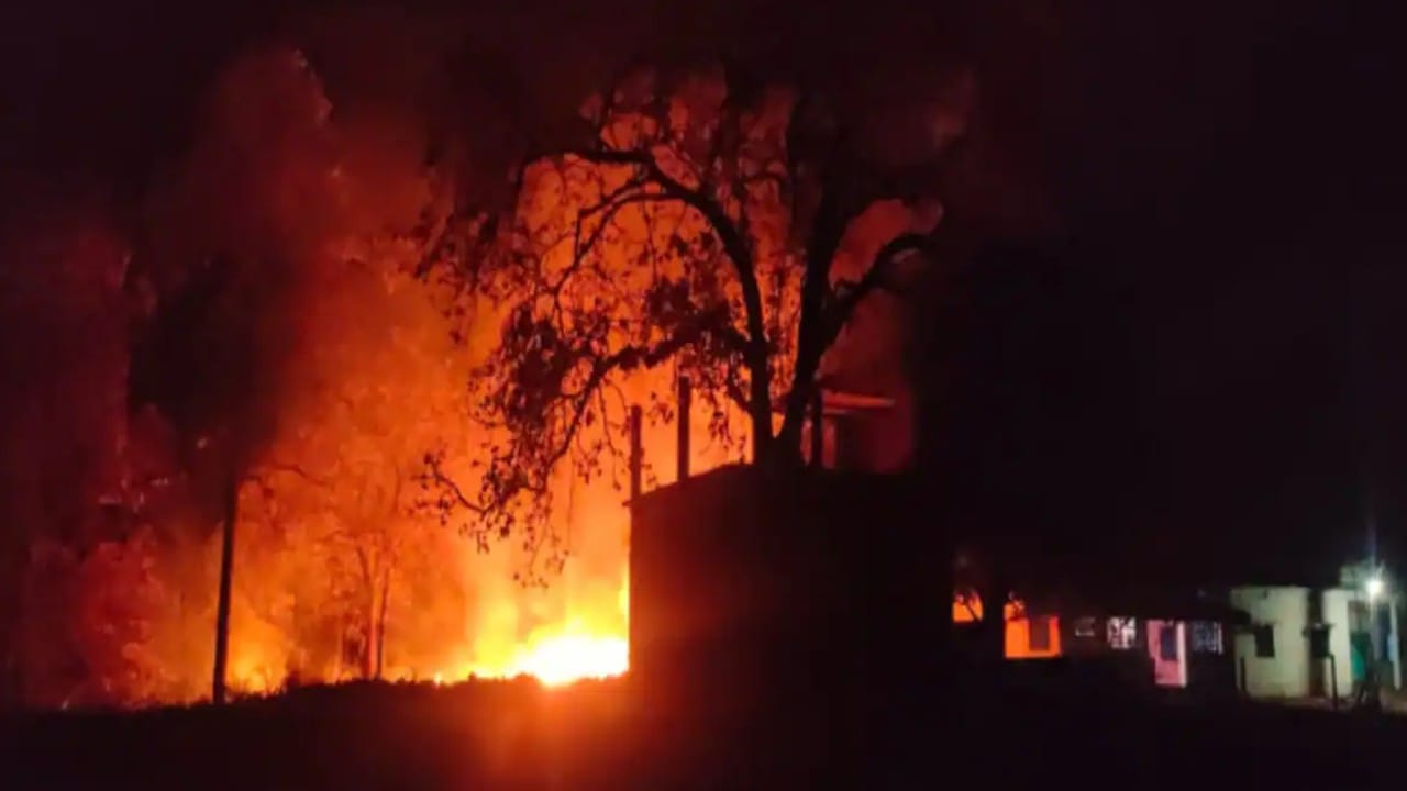 Fire in Forest: More than 60000 Forest Fire Incidents Recorded in 7 Days These 5 State’s Big Forests Are More Affected