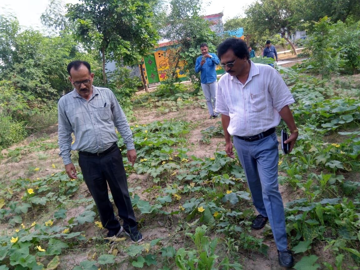 Kitchen garden could not be completed in council schools