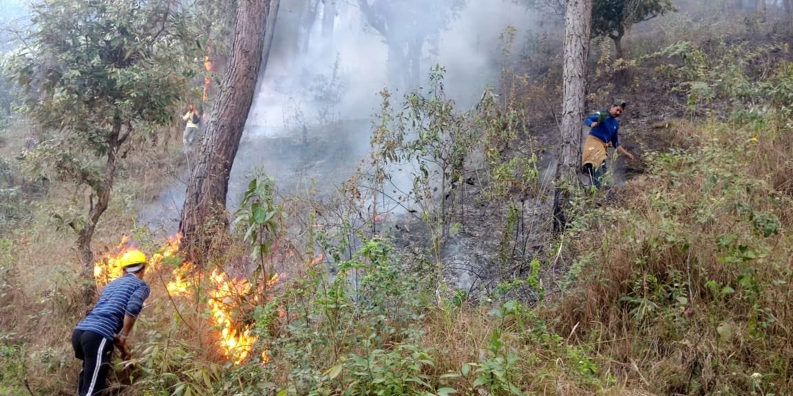 45.25 hectares of forest destroyed in 21 incidents of fire in Pithoragarh
