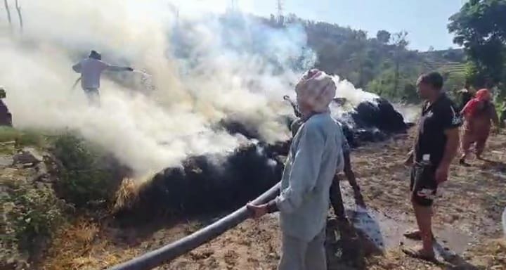 wheat crop burnt