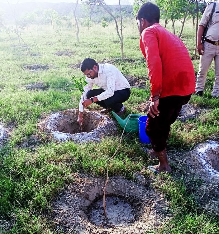 Celebrated April cool by planting rosewood saplings