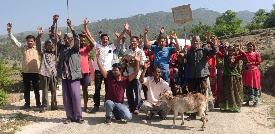 People Jam Road Over Animals