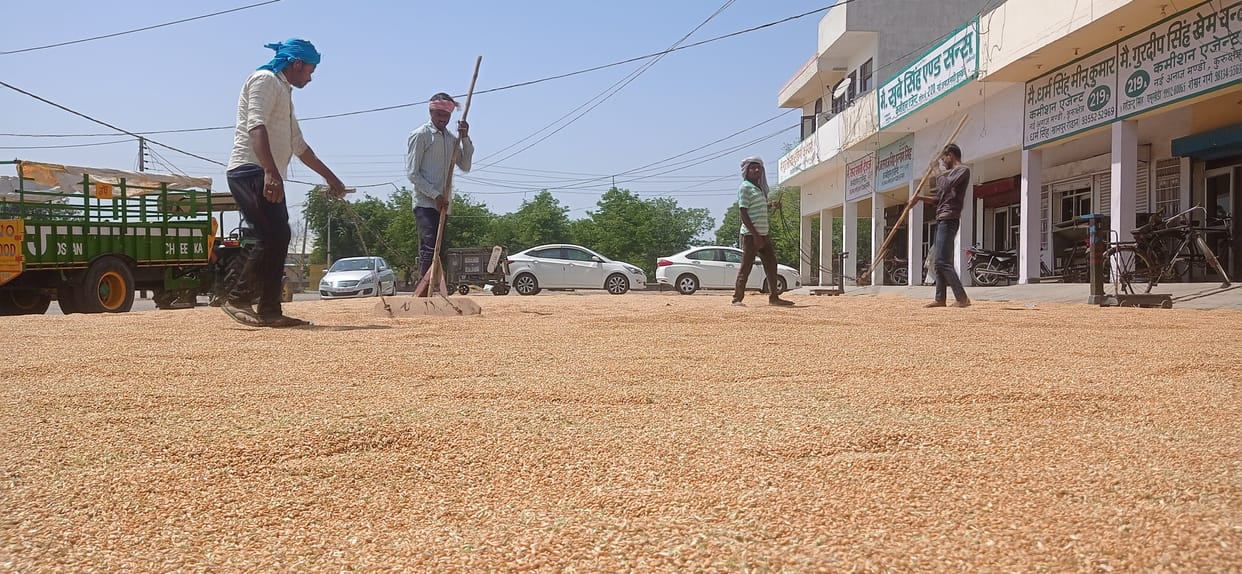 Wheat was not purchased in any market on the first day, Kurukshetra