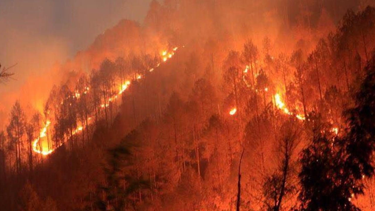 weather report of delhi and north indian states no hope of getting relief from heat