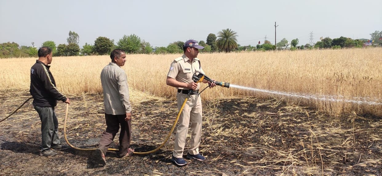 Many bighas of wheat crop burnt due to fire