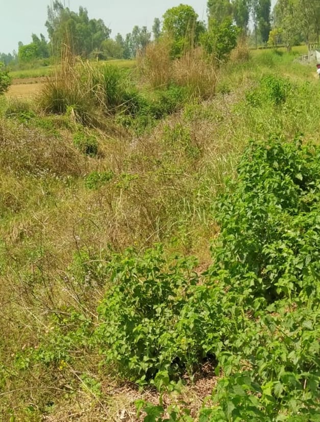 16 years have passed, construction of nine minors not completed