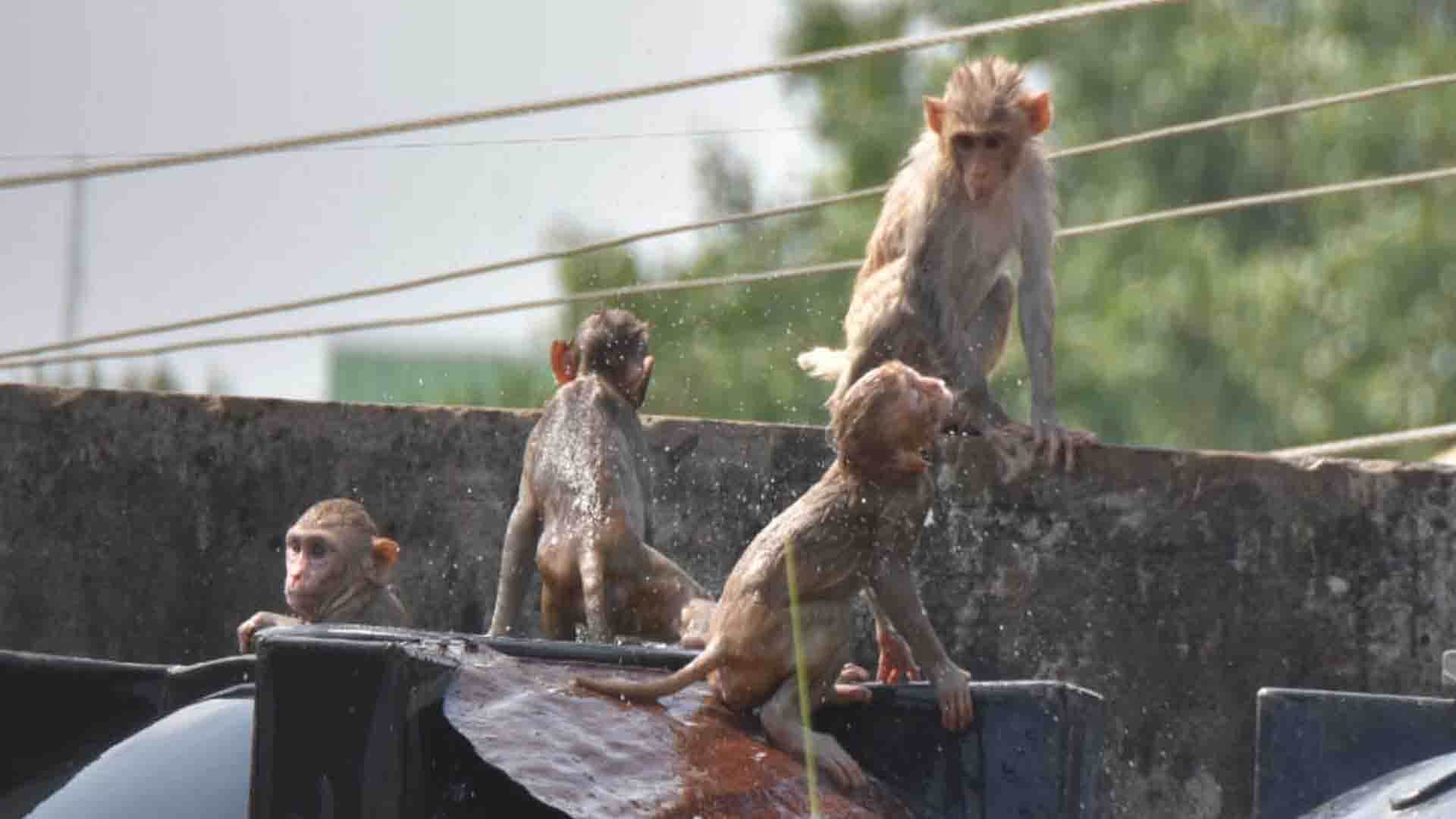 UP Weather Update: Meteorological Department prediction