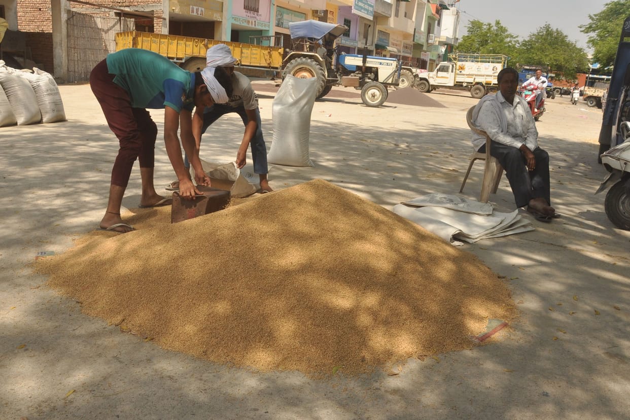 As soon as the government center starts, the price of wheat increased on the basis