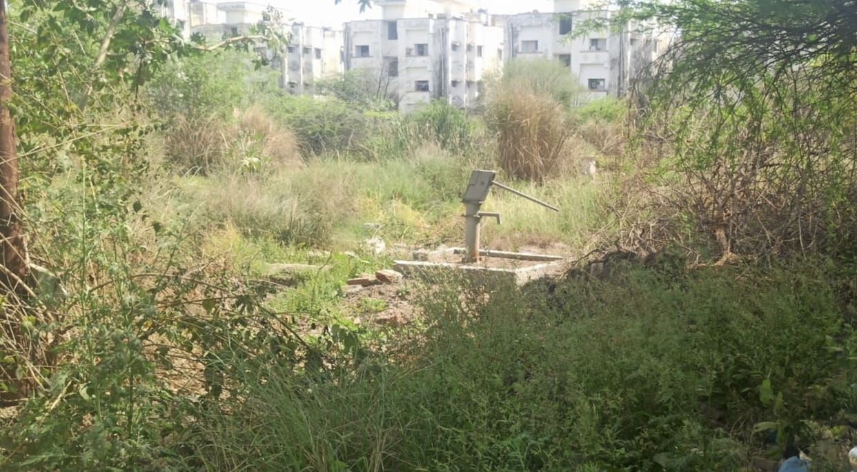 orai