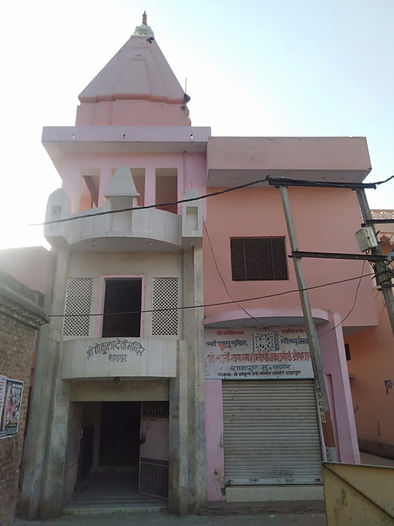 Gokula Devi takes away all the troubles of the devotees