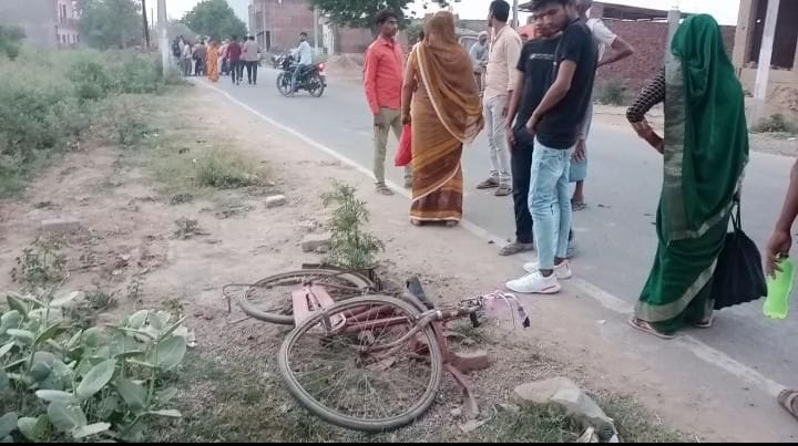 Bike rider dies due to truck collision