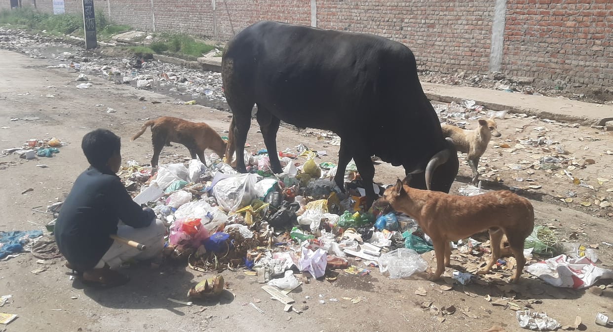 Ward Parikrama: People are troubled by dirt and contaminated drinking water