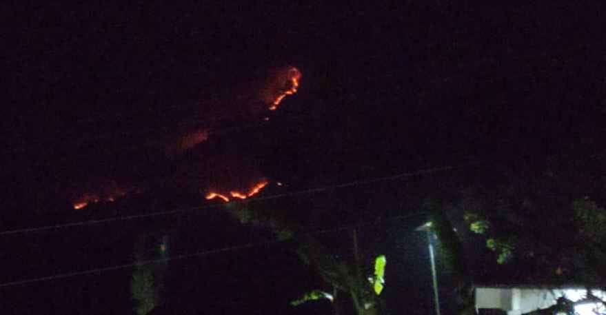 Fire At Bageshwar Forest
