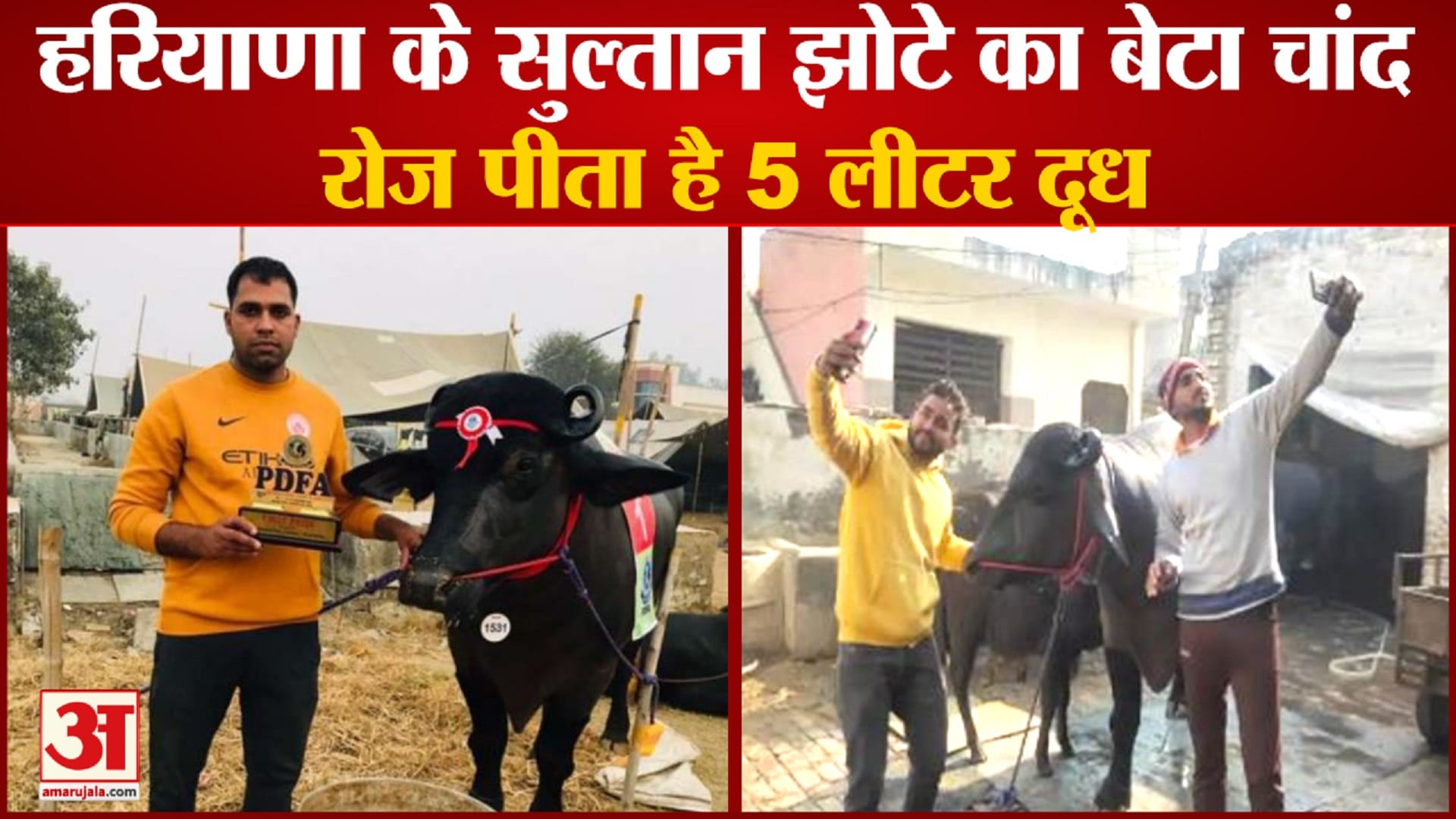 चांद झोटा