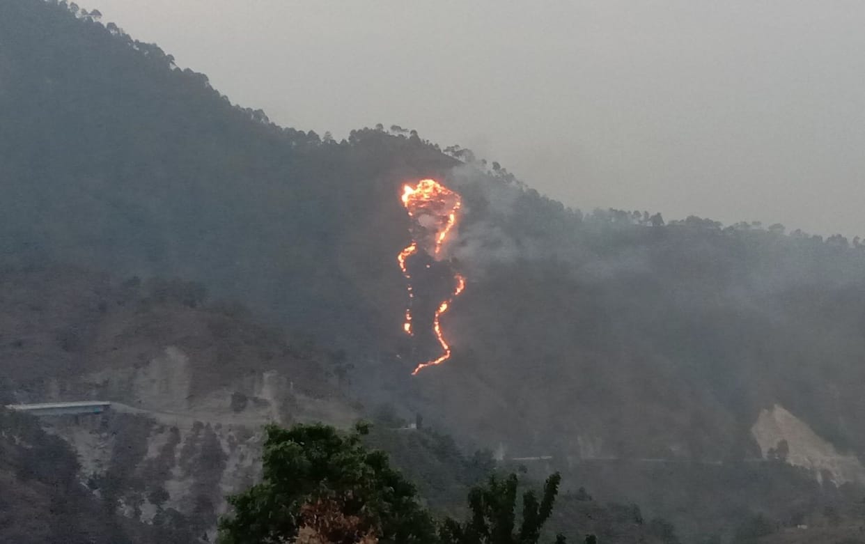 Forest Fire in Pithauragarh