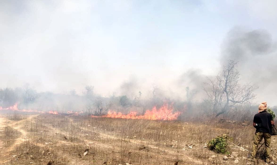 aag hadsa,chitrakoot,jangal