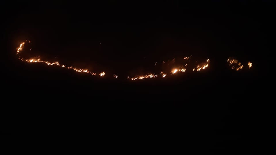 Fire breaks out again in Sariska Tiger Reserve