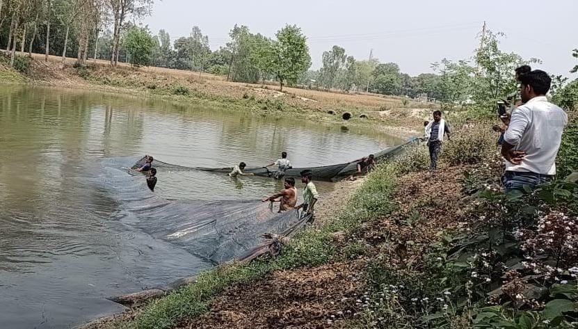 Forest officer rescued crocodile reached to lake during rain devotee was scared