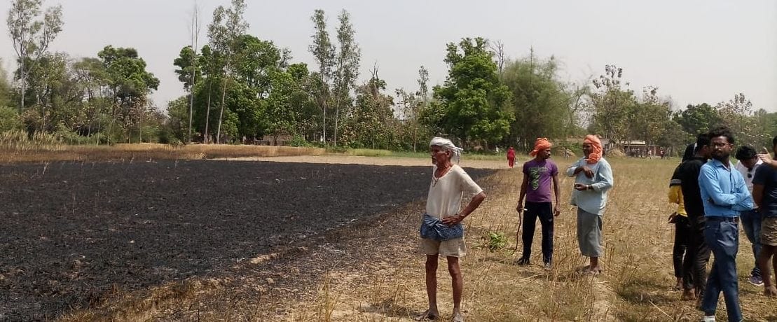 fire on crop