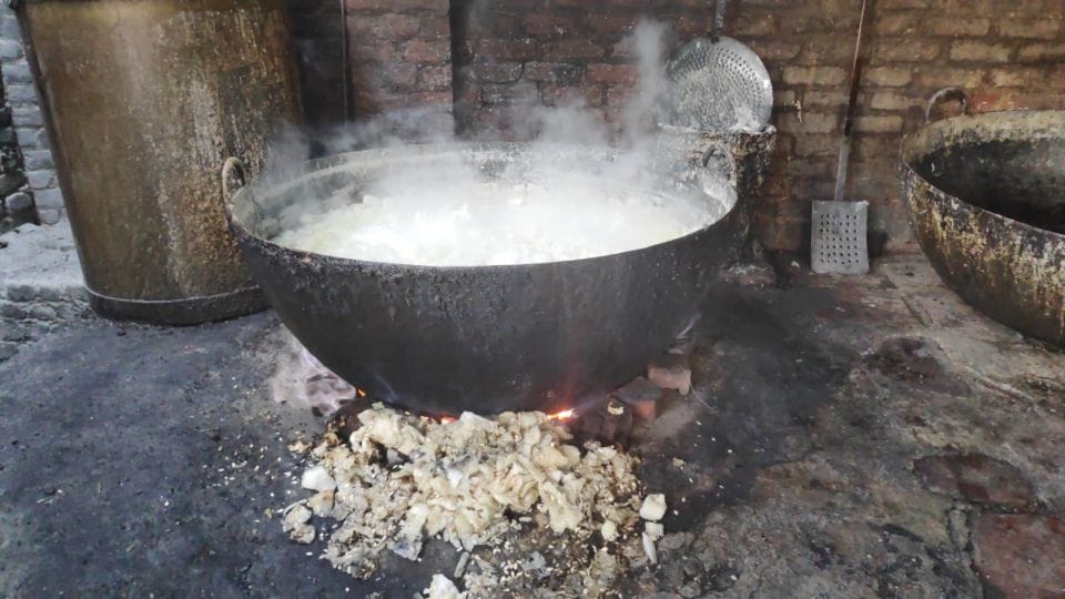 Municipal Corporation sealed four petha factories in Agra