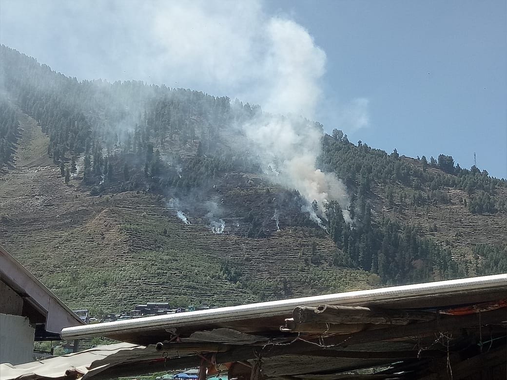 mischievous elements set fire to apple orchard