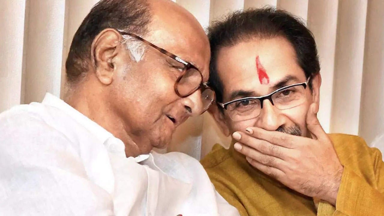 शरद पवार और उद्धव ठाकरे।