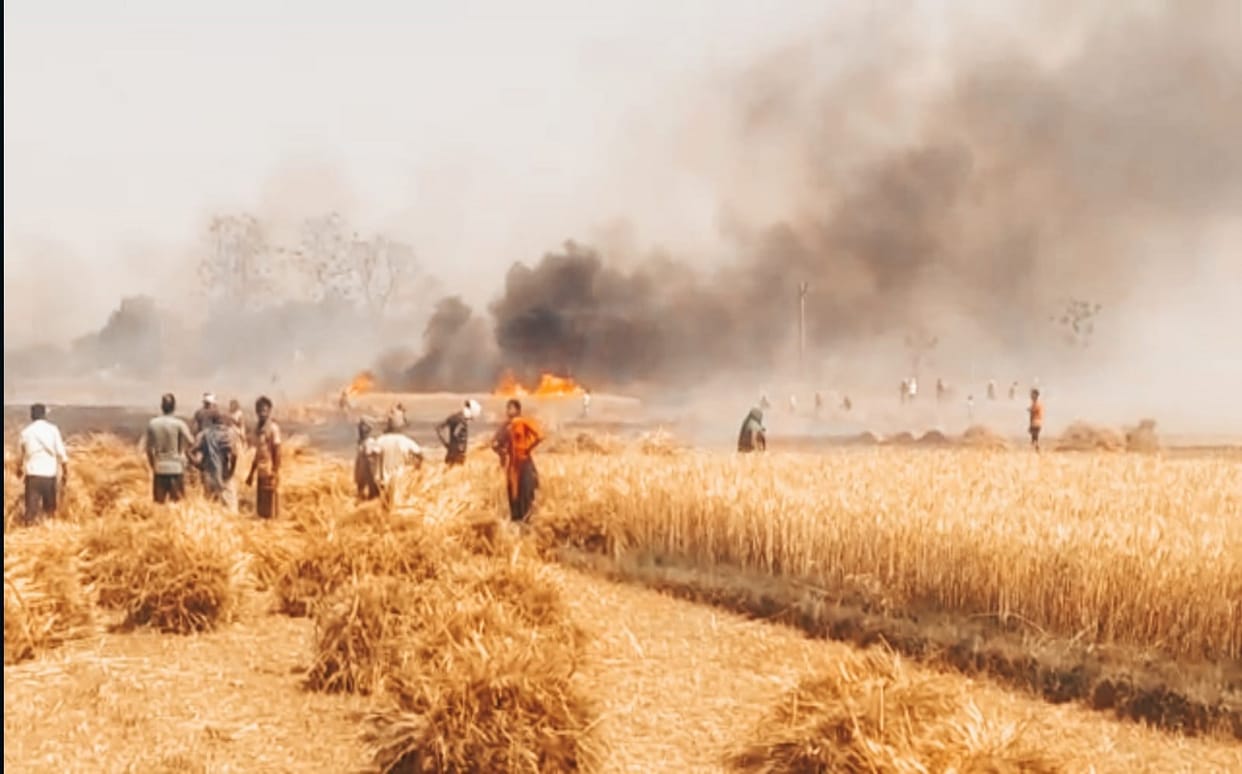 Fire broke out in wheat field due to short circuit in varanasi crop burnt to ashes farmers sad