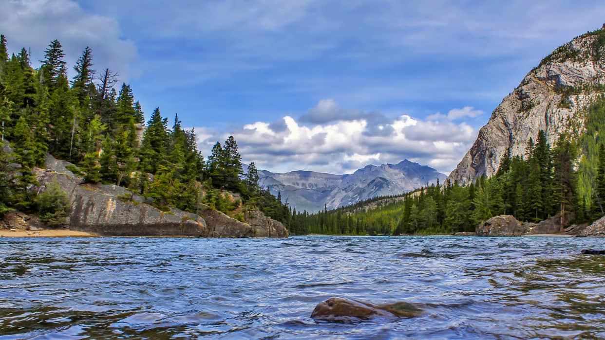 Know About Most Dangerous Lake Why Death Happens When People Go to Lake Facts in Hindi