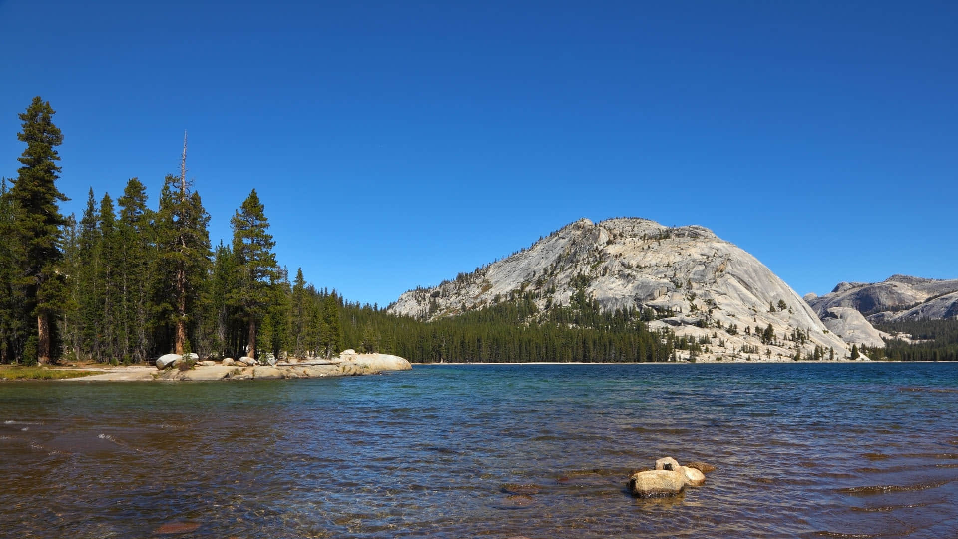 Know About Most Dangerous Lake Why Death Happens When People Go to Lake Facts in Hindi