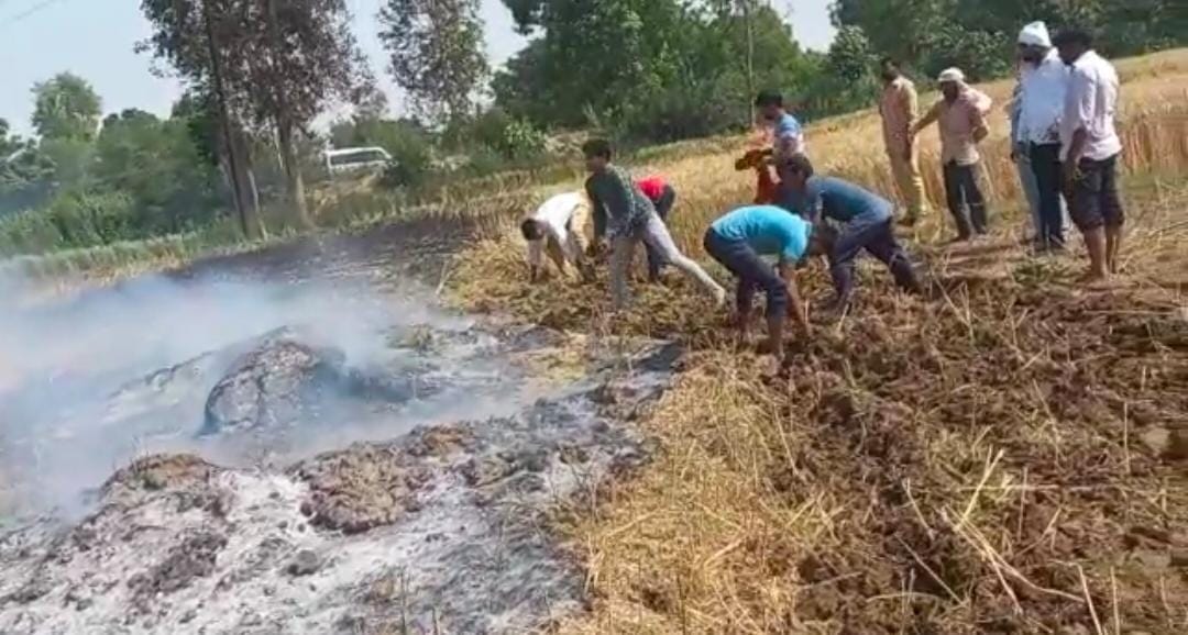 Three acres of wheat crop ashes due to fire