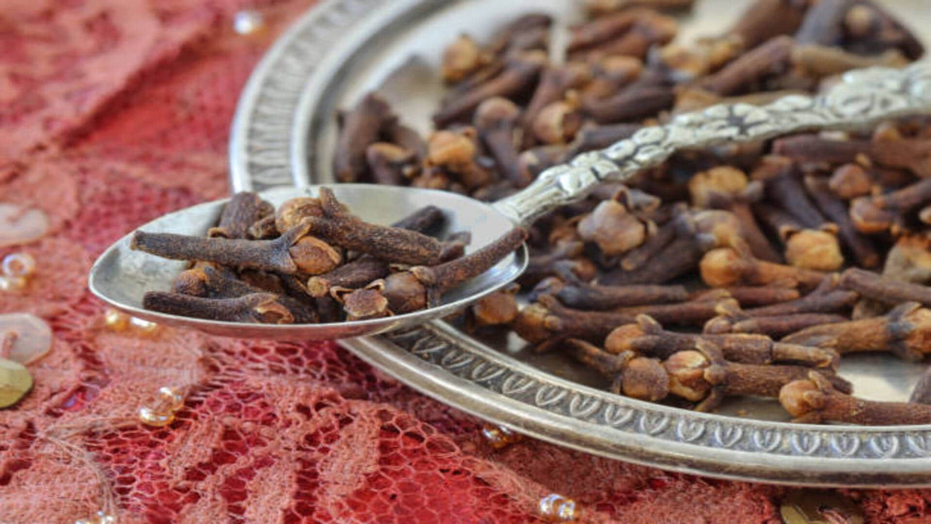 Shardiya Navratri 2022 Upay Cloves or Laung Ke Totke For Money Problems In Navratri