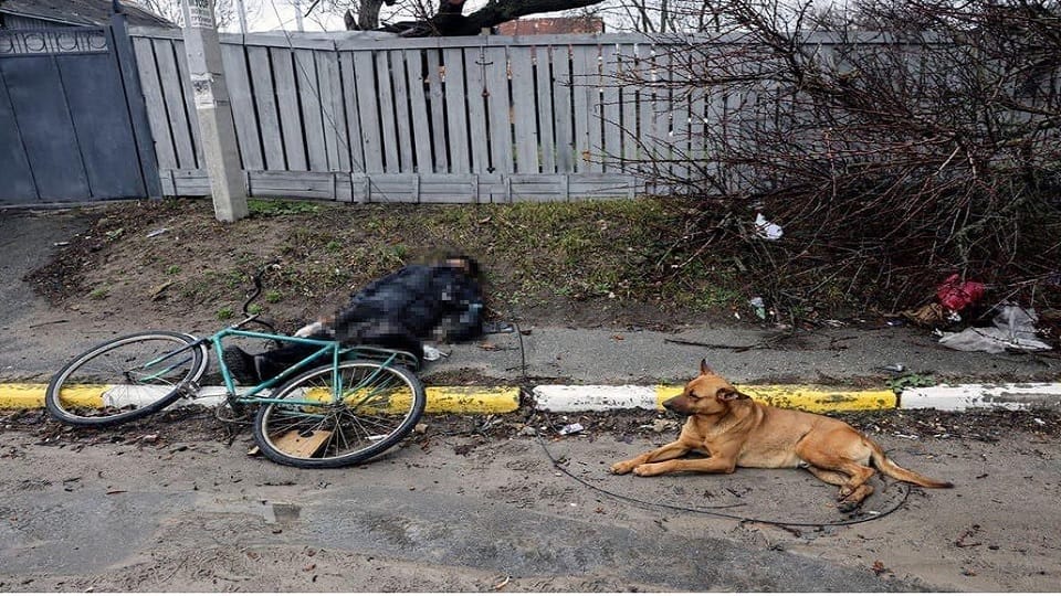 Poignant picture of Ukraine war, Dog moaning by sitting near dead body of owner in Kyiv