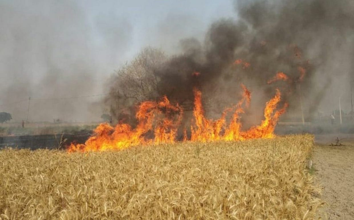 Dreams of farmers burnt in fire
