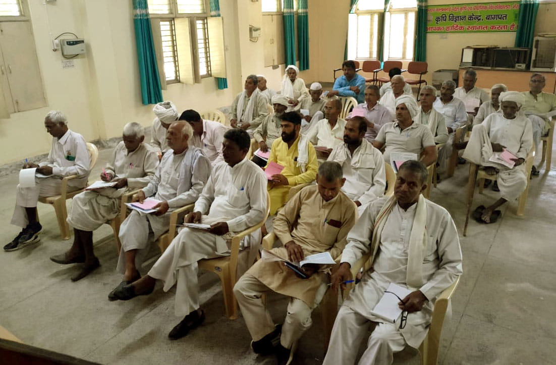 Farmers should give importance to crops with less irrigation: Chaudhary