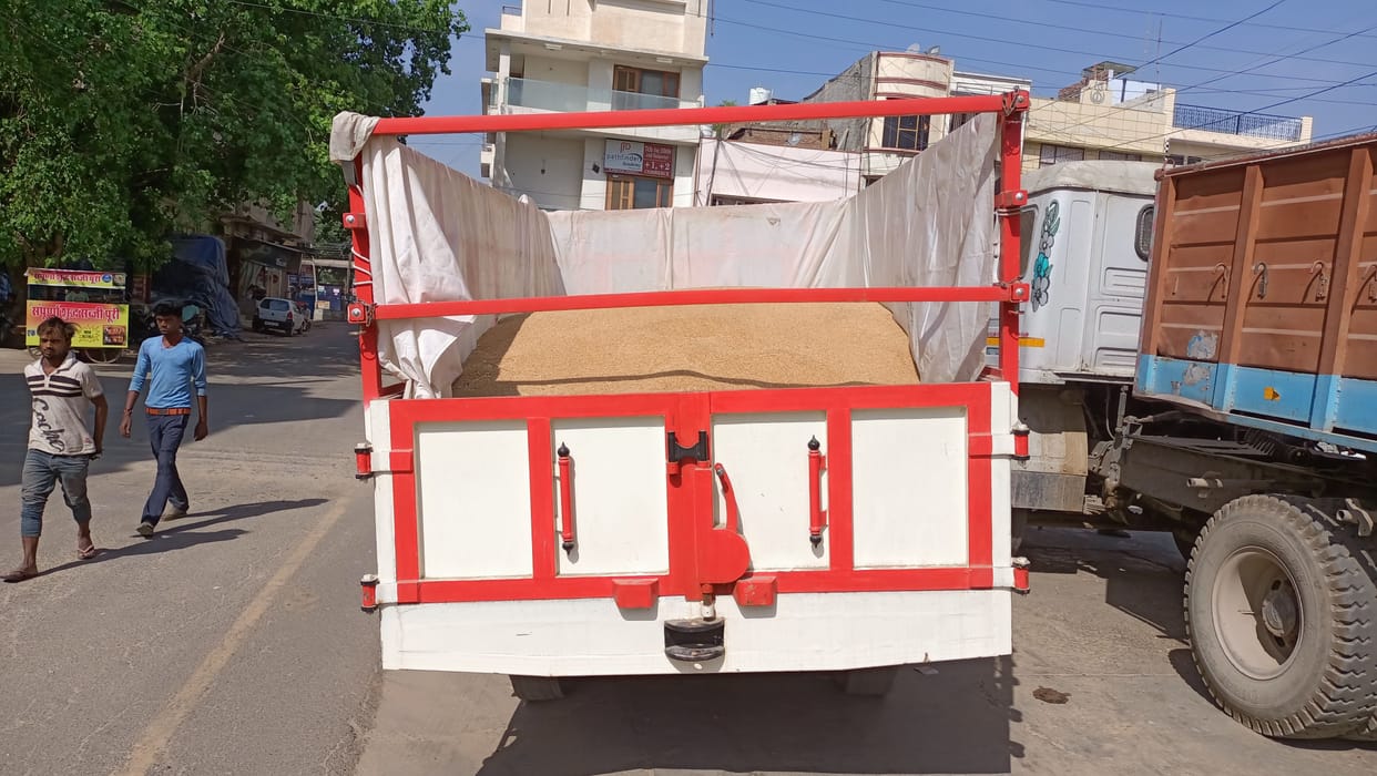 More than one thousand quintals of wheat reached the mandis, only 340 quintals were purchased due to high moisture