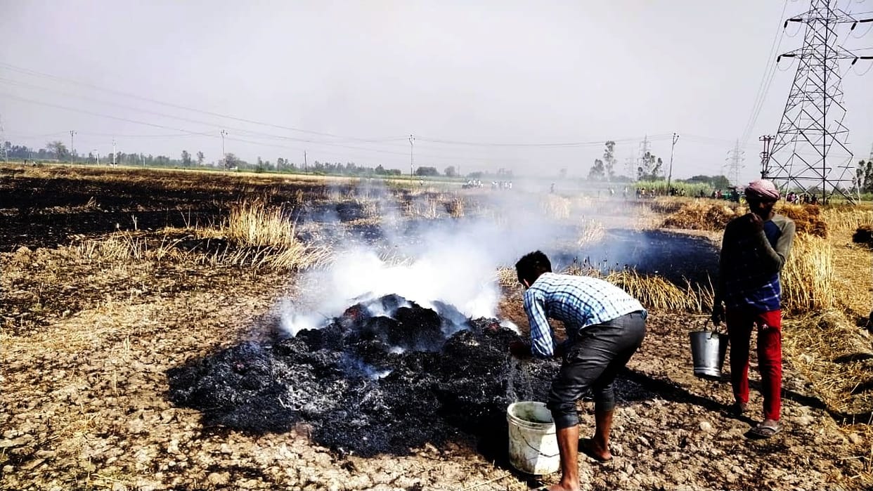 Fire caused by spark of high tension line, 63 bighas of wheat burnt