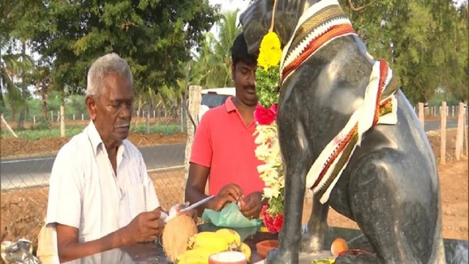 Tamil Nadu Man builds temple in memory of his pet dog