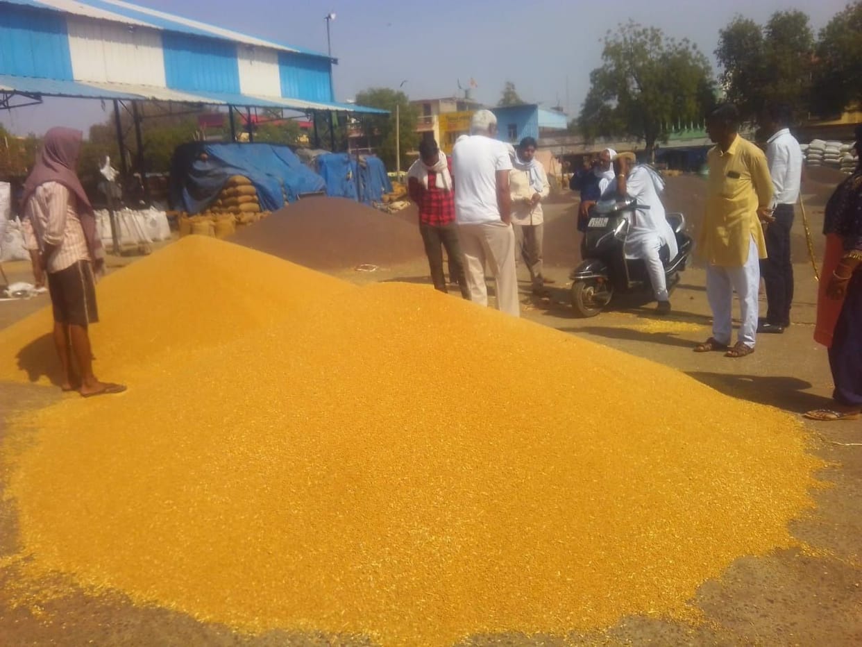 The price of wheat and mustard available in the open market is more than the MSP